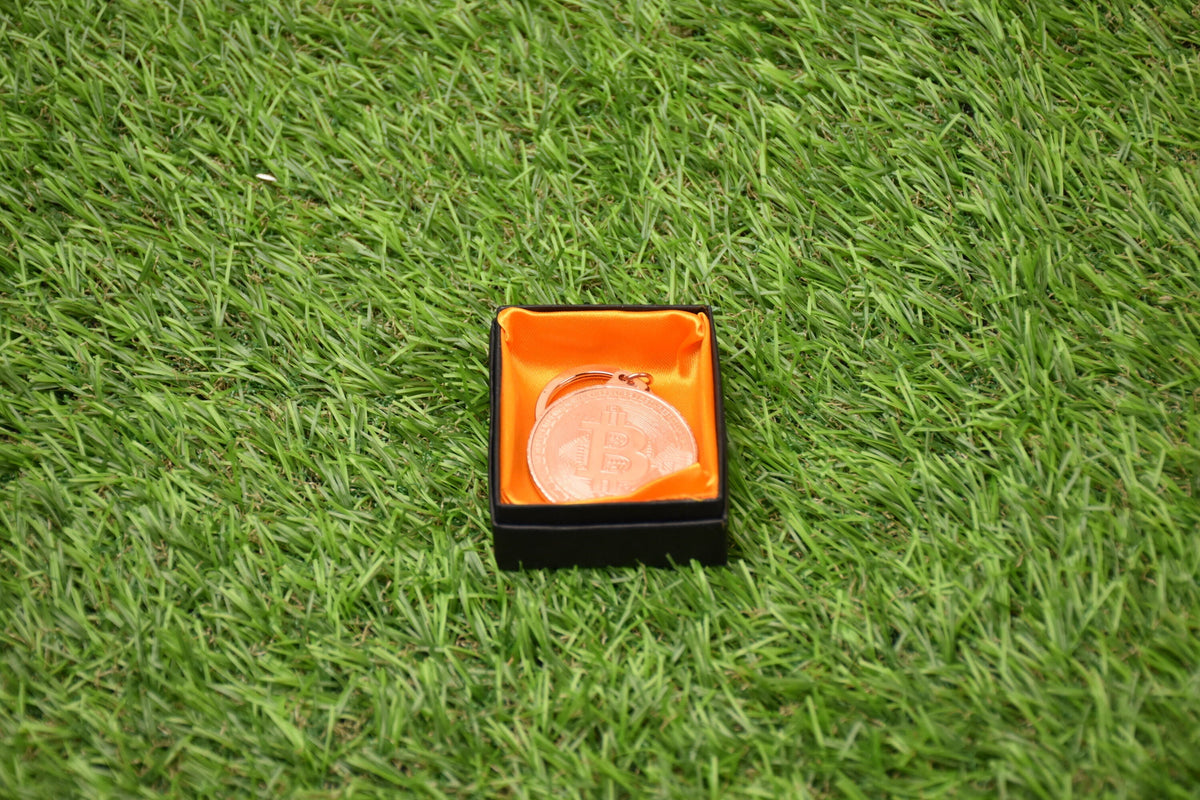 Bitcoin Bronze Keychain
